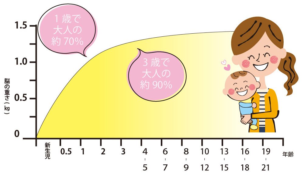 年齢による脳の重さの変化